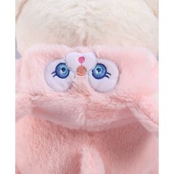 Babyhug 35cm Plush Hooded Teddy Bear Soft Toy - Pink| for Toddler Gifting| Boys & Girls| Stuffed Animal| Baby Safe| Cuddle & Travel Partner| Super Soft Fabric| Room & Car Décor