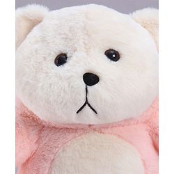 Babyhug 35cm Plush Hooded Teddy Bear Soft Toy - Pink| for Toddler Gifting| Boys & Girls| Stuffed Animal| Baby Safe| Cuddle & Travel Partner| Super Soft Fabric| Room & Car Décor