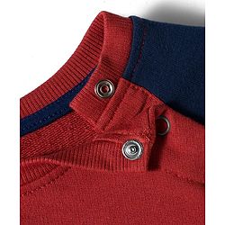 Babyhug Cotton Knit Full Raglan Sleeves Sweatshirt With Lion Print - Dark Red