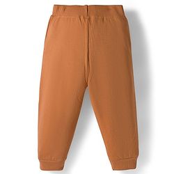 Babyhug Knit Premium Light Gauge Terry Full Raglan Sleeves T-Shirt & Joggers Set With Bear Applique & Patch - Brown