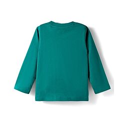 Babyhug 100% Cotton Knit Full Sleeves T-Shirt with Adventure Text Print Pack of 3 - Dark Green & Yellow Blue