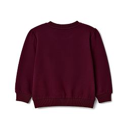 Babyhug Terry Knit Full Sleeves Sweatshirt with Foil Text Print - Maroon