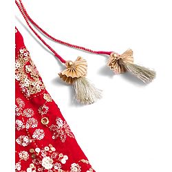 Babyhug Velvet Woven Half Puffed Sleeves Choli Lehenga & Dupatta Set with Floral Embroidery & Embellishments - Red