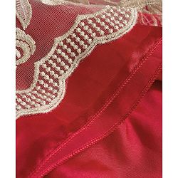 Babyhug Mesh Woven Sleeveless Party Dress With Floral Applique & Embroidery - Red