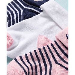 Cute Walk by Babyhug Knit Ankle Length Antibacterial Socks with Stripes Pack of 3 - Pink White & Navy Blue