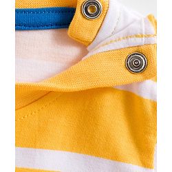 Babyhug 100% Cotton Knit Full Sleeves T-Shirts with Stripes & Animal Print Pack of 3 - Blue Red & Yellow