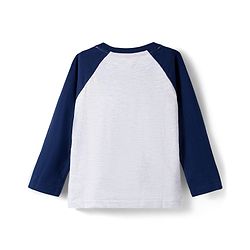 Babyhug 100% Cotton Knit Full Raglan Sleeves T-Shirts with Stripes & Animal Print Pack of 3 - Orange & Navy Blue