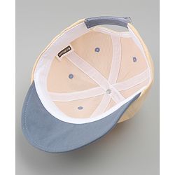 Babyhug Cotton Baseball Cap With Lion Applique Light Blue - Diameter 17 cm