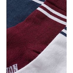Cute Walk by Babyhug Knit Ankle Length Antibacterial Socks With Stripe Design Pack Of 3 - Navy Blue White & Maroon