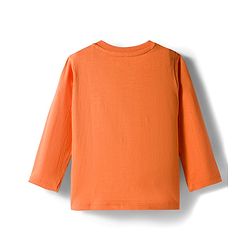 Babyhug 100% Cotton Knit Full Sleeves T-Shirts with Animal Graphics Pack of 3 - Navy Blue Lime Green & Coral