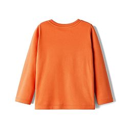 Babyhug 100% Cotton Knit Full Sleeves T-Shirt with Text Graphic - Orange