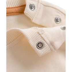 Babyhug Terry Knit Full Sleeves Cut & Sew T-Shirt & Lounge Pant Set with Patch Detailing - Multicolor