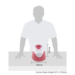 Babyhug Winsome Potty Chair - Pink