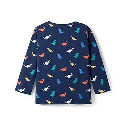 Babyhug 100% Cotton Knit Full Sleeves T-Shirts With Dino Print Pack of 5 - Multicolor