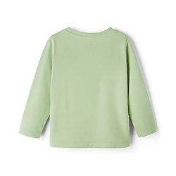 Babyhug Cotton Knit Full Sleeves T-Shirt with Animal Print - Green