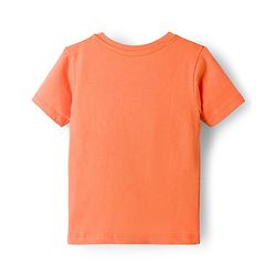 Babyhug 100% Cotton Knit Half Sleeves T-Shirts With Tropical Theme Print Pack of 3 - Peach Green & Blue