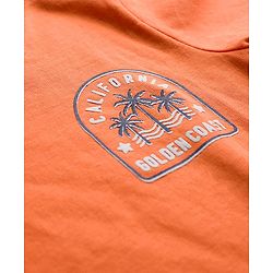Babyhug 100% Cotton Knit Half Sleeves T-Shirts With Tropical Theme Print Pack of 3 - Peach Green & Blue