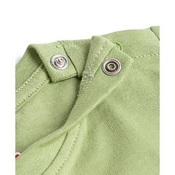 Babyhug 100% Cotton Full Sleeves T-Shirt With Animal Print - Olive Green