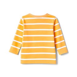 Babyhug 100% Cotton Knit Full Sleeves Front Open Jhablas with Animal Print & Stripes Pack of 3 - Red Blue & Yellow