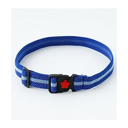 Babyhug Belt with Star Detailing - Blue