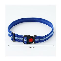 Babyhug Belt with Star Detailing - Blue