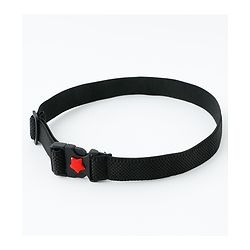 Babyhug Belt with Star on Buckle - Black