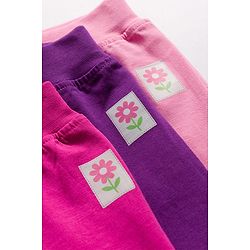 Babyhug Cotton Knit Full Length  Lounge Pant with Floral Print Pack of 3 - Pink & Purple