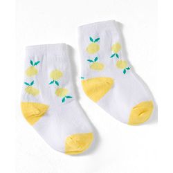 Cute Walk by Babyhug Non Terry Knit Ankle Length Anti Bacterial Socks With Stripes & Fruits Design Pack of 3 - Multicolour