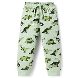 Babyhug Single Jersey Knit Full Length Lounge Pant with Dino Print - Light Green