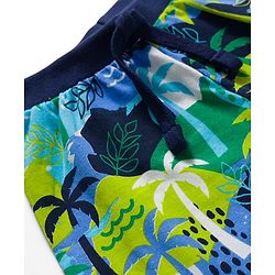 Babyhug Single Jersey Knit Mid Thigh Beach Theme Printed Shorts Pack of 3 - Multicolour