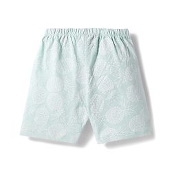 Babyhug 100% Cotton Single Jersey Knit Mid Thigh Striped & Pineapple Printed Shorts Pack of 3 - Multicolor