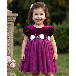 Babyhug Mesh Woven Half Puffed Sleeves Fit and Flare Party Dress With Glitter & Floral Applique - Wine