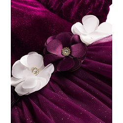 Babyhug Mesh Woven Half Puffed Sleeves Fit and Flare Party Dress With Glitter & Floral Applique - Wine