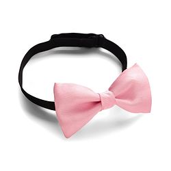 Babyhug Cotton Woven Full Sleeves Solid Color Party Shirt With Bow - Blue