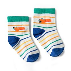 Cute Walk by Babyhug Non Terry Knit Ankle Length Anti Bacterial Socks With Stripes & Dinosaur Design Pack of 5 - Multicolour