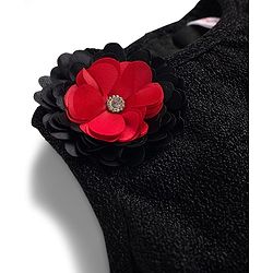 Babyhug Lace Woven Sleeveless Shimmer Party Top & Skirt Set With Floral Applique - Black & Red