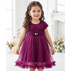 Babyhug 5 Layers Fit & Flare Half Sleeves Glitter Mesh Party Dress with Bow Deatiling and Cotton Lining - Wine