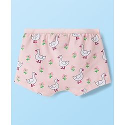 Babyhug Cotton Lycra Knit Hipster With Floral Print Pack Of 3 - White Peach & Light Green