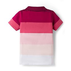 Babyhug Single Jersey Knit Half Sleeves Striped Polo T-Shirt & Shorts Set - Maroon