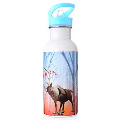 Babyhug Disney Frozen Theme Stainless Steel Color Changing Magic Bottle Multicolor - 600ml| Leak Resistant| BPA Free| Rust Proof| Food Grade 304 SS| Soft Silicone Spout