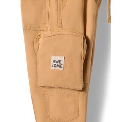 Babyhug Tussar Cotton Woven Full Length Solid Color Trouser - Khaki