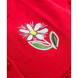 Babyhug Interlock Knit Half Sleeves Peter Pan Collared Frock with Bloomer & Floral Print - Red