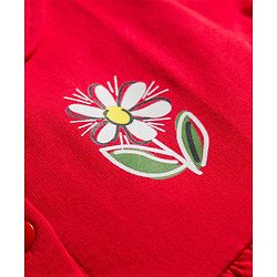 Babyhug Interlock Knit Half Sleeves Peter Pan Collared Frock with Bloomer & Floral Print - Red