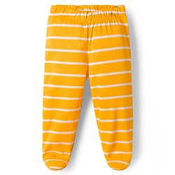 Babyhug Interlock Cotton Knit Full Length Jungle Theme Printed Bootie Leggings Pack Of 3 - Multicolour