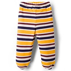 Babyhug Interlock Cotton Knit Bootie Leggings With Stripes & Animal Print Pack Of 3 - Multicolour