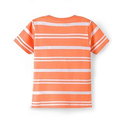 Babyhug Cotton Knit Half Sleeves Striped & Shark Printed T-Shirts Pack of 3 - Multicolor