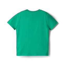 Babyhug 100% Cotton Knit Half Sleeves Lion Printed T-Shirt - Multicolour