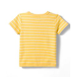 Babyhug 100% Cotton Knit Antibacterial Half Sleeves Animal Printed & Striped Jhablas Pack Of 3 - Multicolour