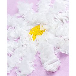 Babyhug Cotton Knit Half Sleeves T-Shirt with Sequin Detailing - Multicolor