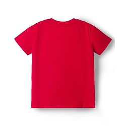 Babyhug 100% Cotton Knit Half Sleeves Text Printed T-Shirt - Red